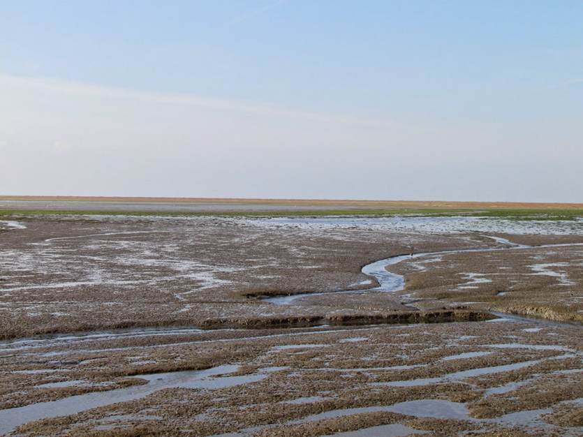Sedimentatie op het wad bij Schiermonnikoog