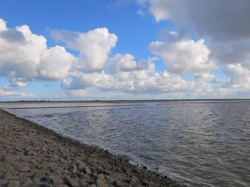 [Translate to english:] Dijk op Ameland