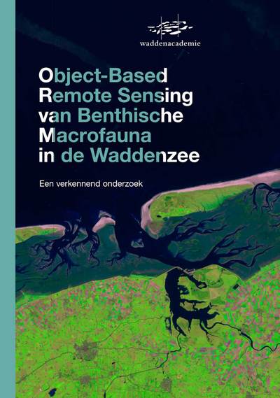 Cover rapport Object‐based remote sensing van benthische macrofauna in de Waddenzee, een verkennend onderzoek