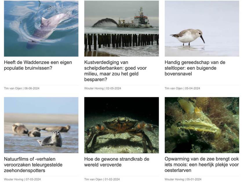 Overzicht van de laatste WadWetens