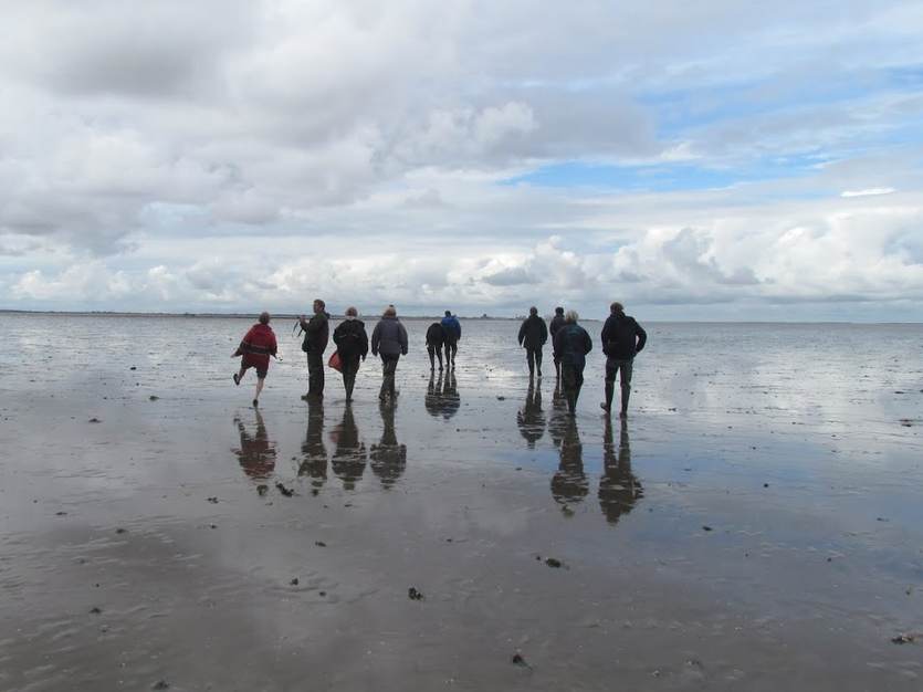 Wadlopen. Foto: Waddenacademie