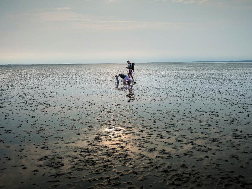 WetenschapOnderzoekers op het Wad. Foto NIOZpers op het Wad. Foto NIOZ
