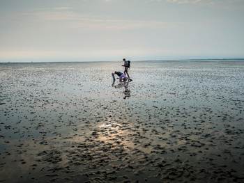 WetenschapOnderzoekers op het Wad. Foto NIOZpers op het Wad. Foto NIOZ
