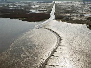 Silb in de Dollard. Foto: RWS Joop van Houdt