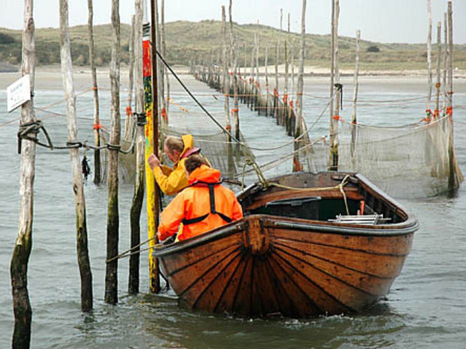 Het legen van de NIOZ fuik.