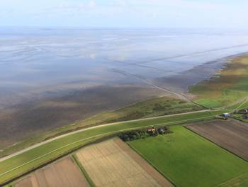 Luchtfoto van het Wad bij Zwarte Haan. Tot aan Ameland zijn meerdere ecotypes te vinden, zoals lage en hoge kwelders en een pionierszone. En onder water zowel hoog- als laagdynamische gebieden. Foto: Rijkswaterstaat