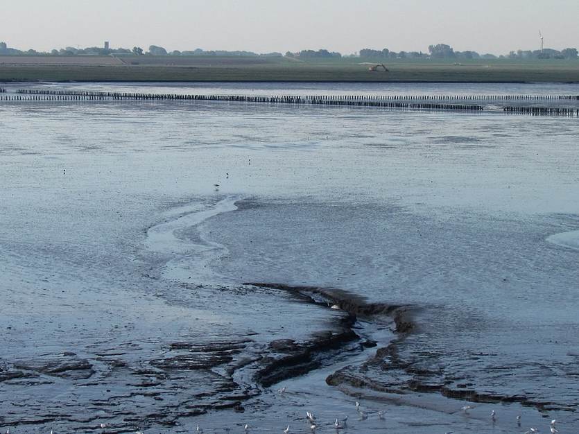 [Translate to english:] Het Wad bij Holwerd