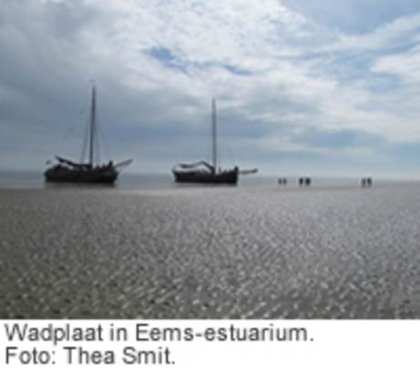 Wadplaat in Eems-estuarium. Foto: Thea Smit.