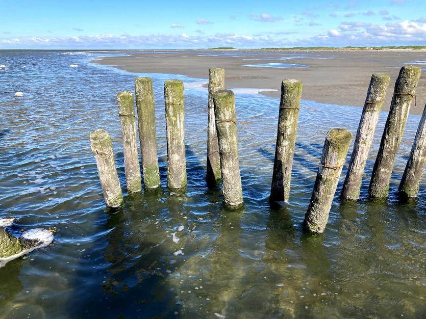 De Waddenzee met palenrij en zandbank