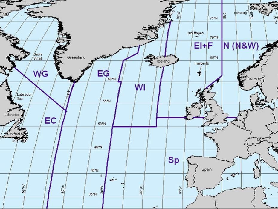 Sub gebieden van de gewone vinvis in het Noord-Atlantisch gebied. Bron: International Whaling Commission