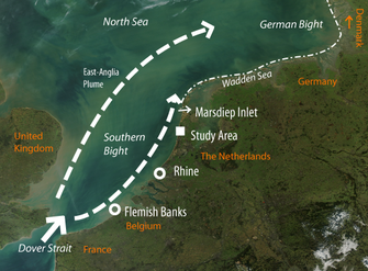 De twee slibroutes door de Noordzee Illustratie: Carola van der Hout De twee slibroutes door de Noordzee Illustratie: Carola van der Hout