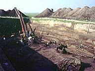 Archeologische opgraving bij Wellinghusen. Foto: D. Meier.