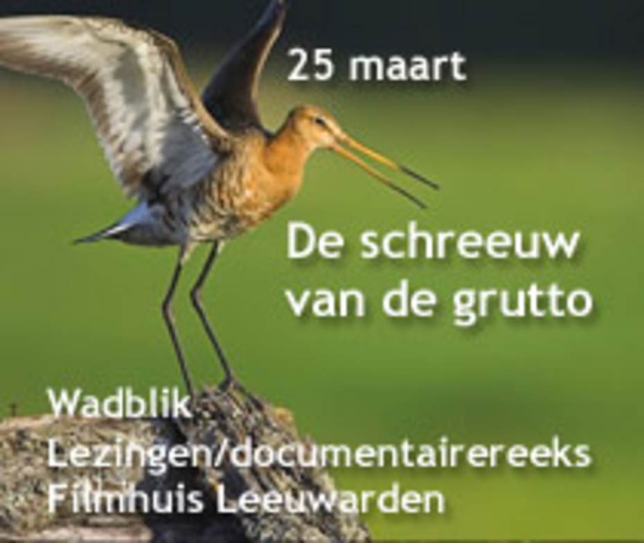 WadBlik 25 maart