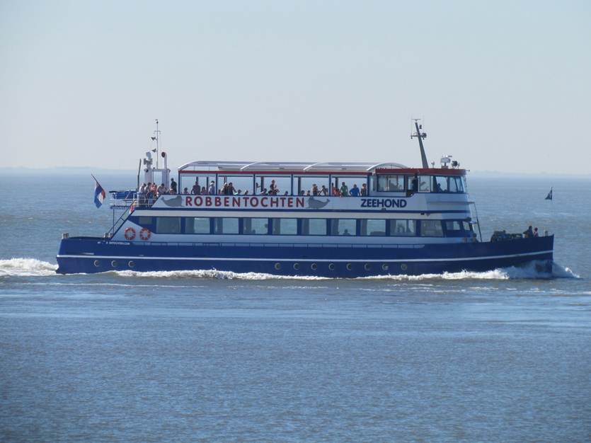 Zeehondenexcursie op het wad