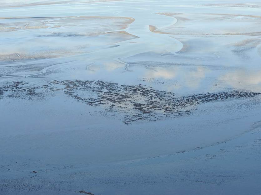 Mosselbanken in de Waddenzee. Foto: Jasper Donker