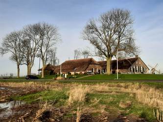 Een boerderijterp in de IJsseldelta, Kampereiland.