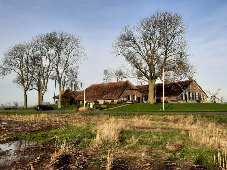 Een boerderijterp in de IJsseldelta, Kampereiland. Foto: Roy van Beek
