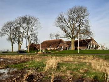 Een boerderijterp in de IJsseldelta, Kampereiland.