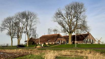 Een boerderijterp in de IJsseldelta, Kampereiland. Foto: Roy van Beek