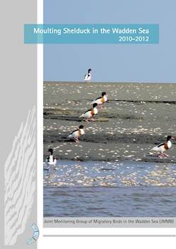 Cover report