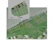 Overzichtskaartje van het beweidingsexperiment in Noord-Friesland Buitendijks. Het experiment bestond uit drie proefgebieden, met elk 5 of 6 proefvakken van ca. 11 hectare groot. Hierin was geen beweiding, lichte beweiding (met 5 stuks vee per proefvak = 0.5 dier/ha), intensieve beweiding (met 10 stuks vee per proefvak = 1 dier/ha) of wisselbeweiding (jaarlijkse afwisseling van geen en intensieve beweiding). Bron: De Vlas e.a., 2013.