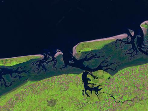 Cover rapport Object‐based remote sensing van benthische macrofauna in de Waddenzee, een verkennend onderzoek