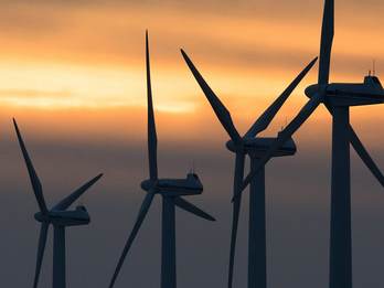 Windpark. Foto: Henk Postma