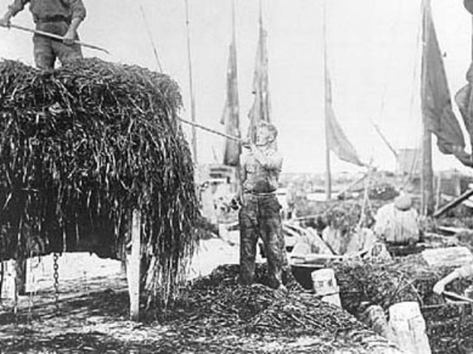 Wiervisserij (foto www.waddenzeeschool.nl)