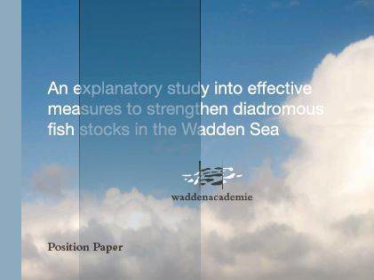 COver position paper fish