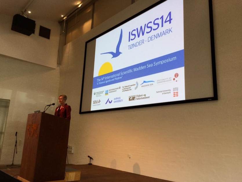[Translate to english:] Opening van de conferentie in Tønder ISWSS14. Foto: CWSS