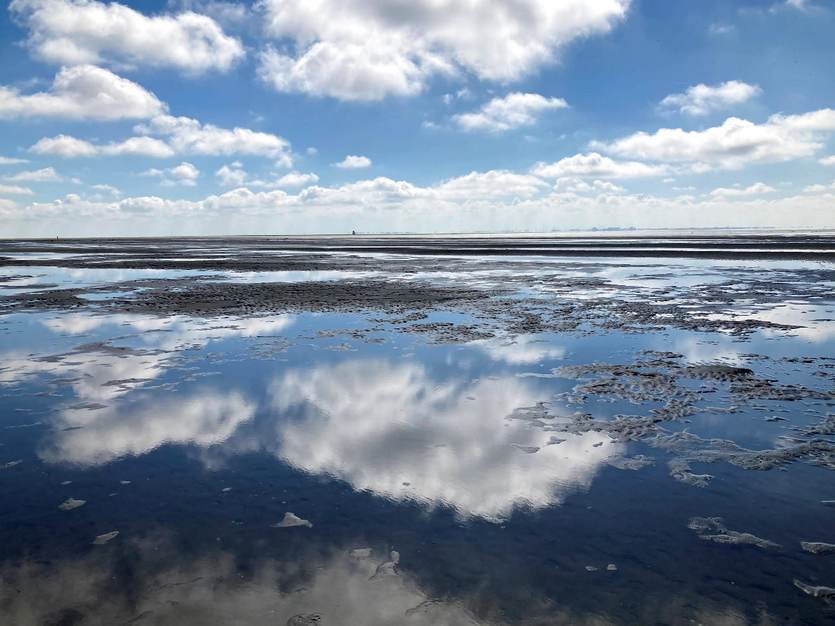 Wolken spiegelen in het wad