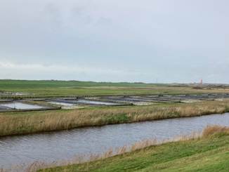 Polder Wassenaar op Texel. Foto: TS