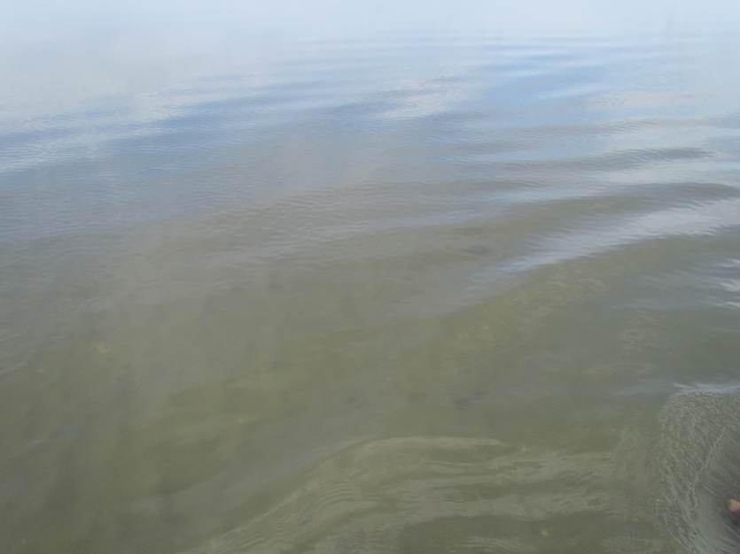 Troebel water in de Eems-Dollard. Foto: TS