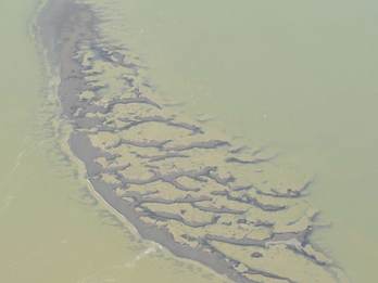 patronen in een mosselbank vanuit de lucht. Foto: Jasper Donker