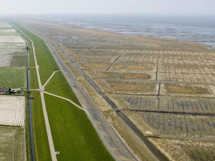De Groninger kwelders. Foto: Joop van Houdt, beeldbank RWS