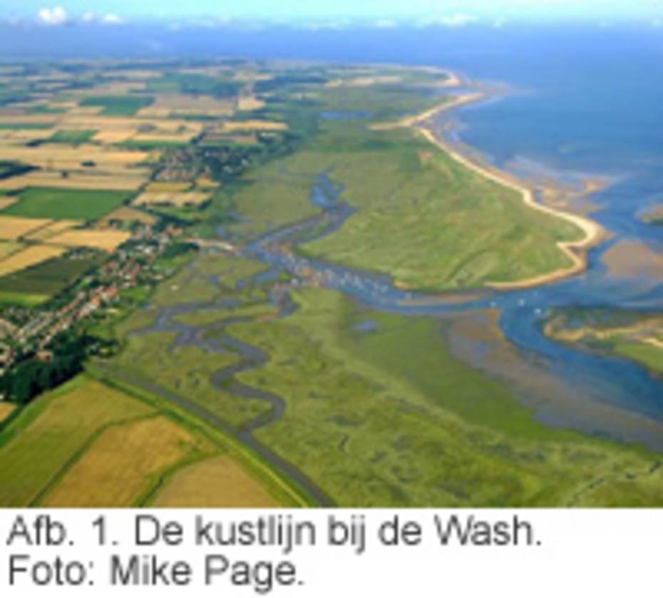 Afb. 1. De kustlijn bij de Wash. Foto: Mike Page