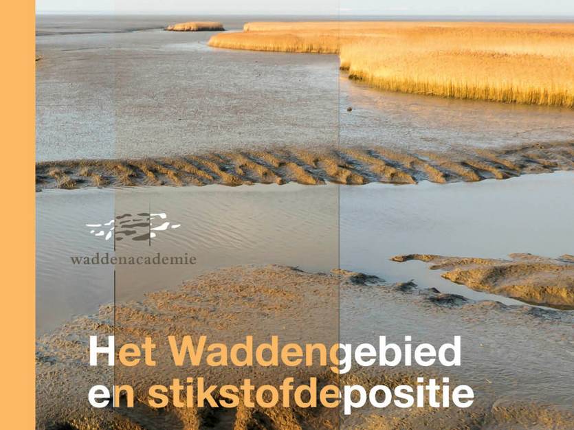 Publicatie: Het Waddengebied en stikstofdepositie