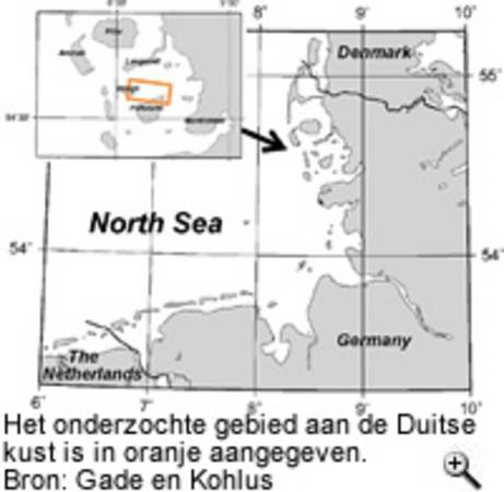 Het onderzochte gebied aan de Duitse kust is in oranje aangegeven. Bron: Gade en Kohlus