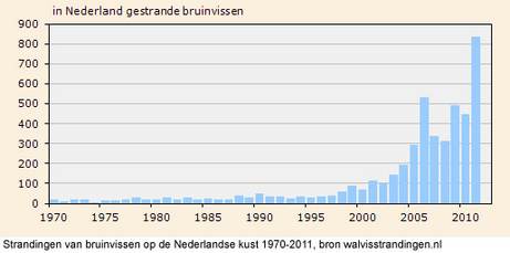 Strandingen van bruinvissen op de Nederlandse kust 1970-2011, bron walvisstrandingen.nl