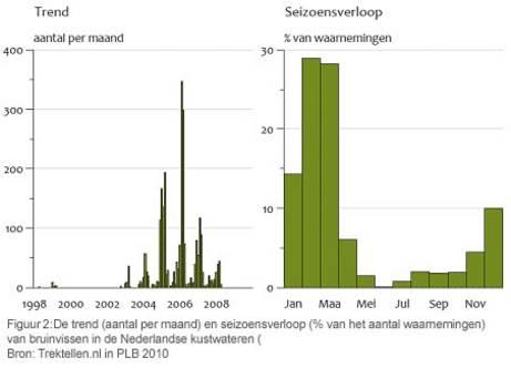 Figuur 2 Het seizoensverloop (% van het aantal waarnemingen) van bruinvissen in de Nederlandse kustwateren (Trektellen.nl in PLB 2010)