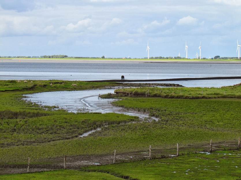 de Punt van Reide in het Eems-Dollard gebied