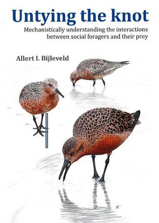 thesis Allert Bijleveld thesis Allert Bijleveld