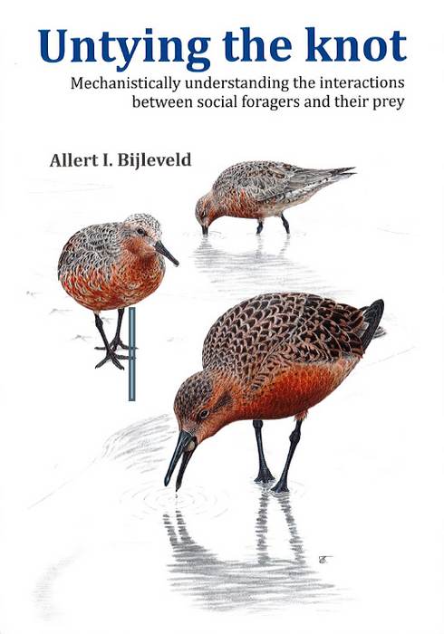 Cover thesis Allert Bijleveld