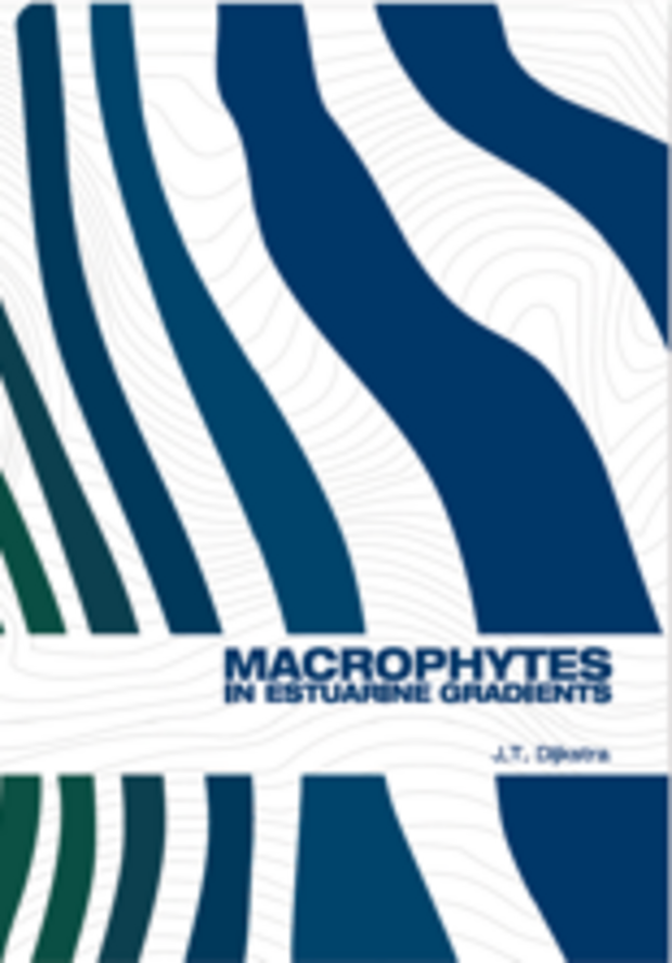 Cover Thesis Jasper Dijkstra
