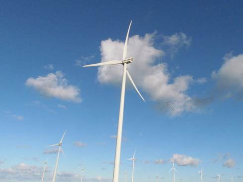 Windpark nabij de Eemshaven. Foto: Thea Smit