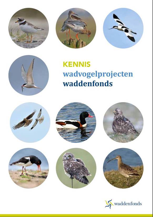 Cover Kennis Wadvogelprojecten Waddenfonds