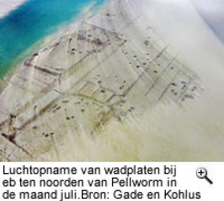 Luchtopname van wadplaten bij eb ten noorden van Pellworm in de maand juli. Bron: Gade en Kohlus