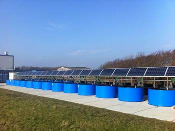 Opstelling van het Zeewiercentrum met de blauwe kweekbakken en zonnepanelen. Foto: NIOZ.