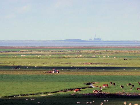 Curus Cultuurlandschappen van de Wadden. Foto: Jeroen Wiersma