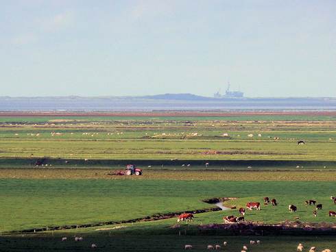 Cultuurlandschap in het waddengebied. Foto: Jeroen Wiersma